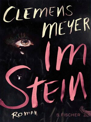 cover image of Im Stein